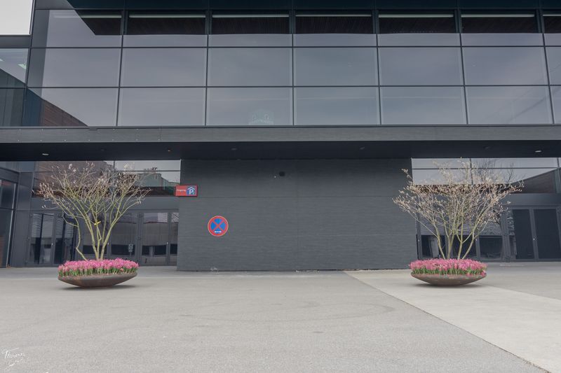 © Thomas Gutschi - Image from the Covid-19 Pictures, no words needed photography project