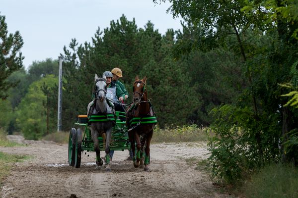 © Thomas Gutschi - Coach driver