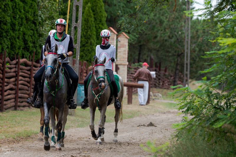 © Thomas Gutschi - go on