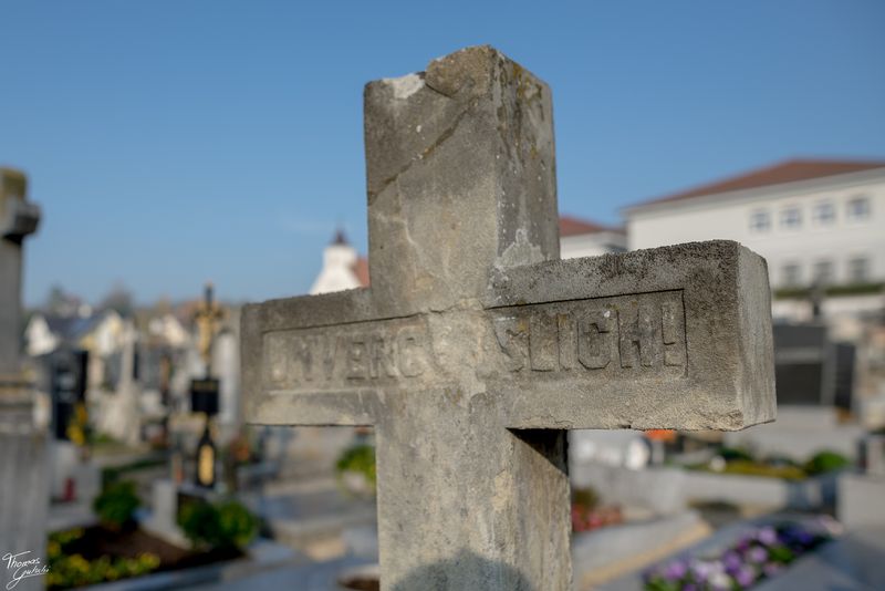 © Thomas Gutschi - Unforgettable