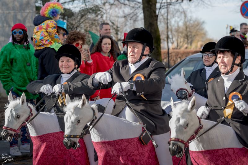 © Thomas Gutschi - Horses