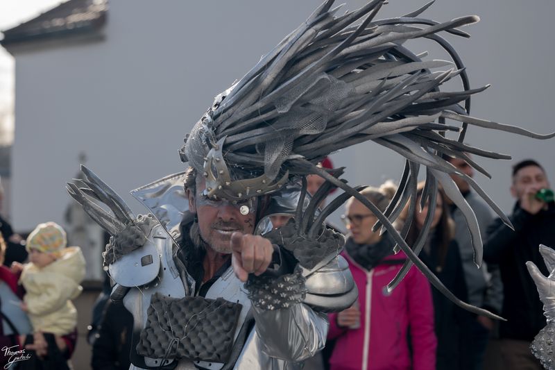 © Thomas Gutschi - Silver