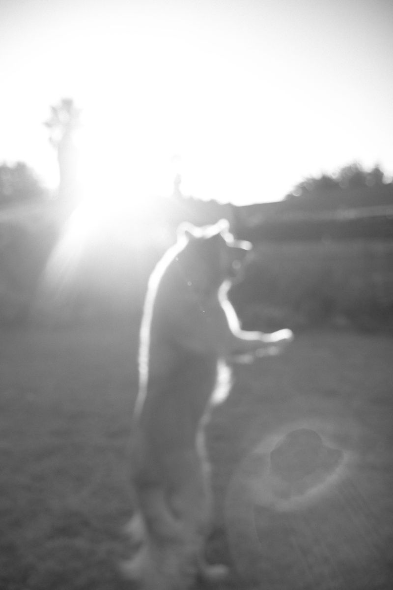 © Sharday Swanepoel - Image from the The extraordinary, supernatural paracosm of Sharday Swanepoel photography project