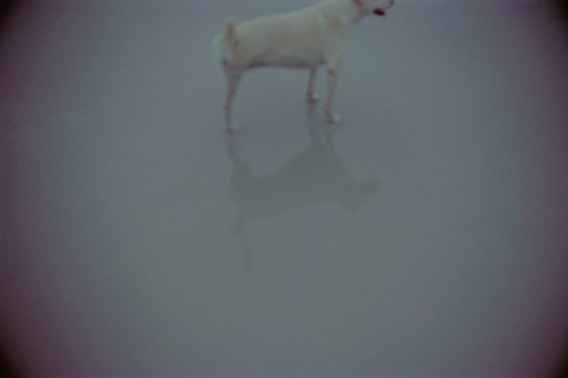 © Sharday Swanepoel - Image from the The extraordinary, supernatural paracosm of Sharday Swanepoel photography project