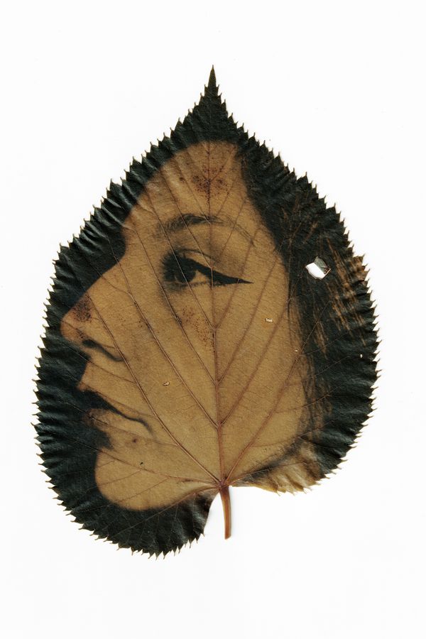 © Naoual Leau - Image from the Dead Leaves ( Les Feuilles mortes) photography project