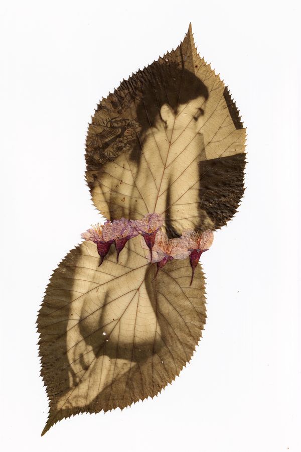 © Naoual Leau - Image from the Dead Leaves ( Les Feuilles mortes) photography project