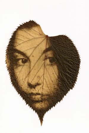 Dead Leaves ( Les Feuilles mortes)