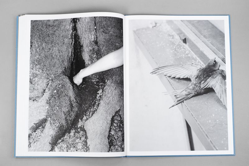 Image from a project on PhMuseum