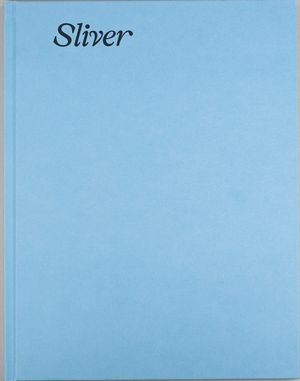 Boris Snauwaert — Sliver