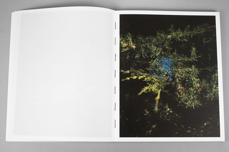 Image from a project on PhMuseum