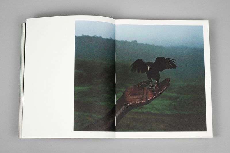 Image from a project on PhMuseum