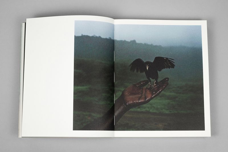 Image from a project on PhMuseum