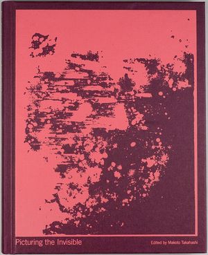 Picturing the Invisible — Makoto Takahashi (ed.)