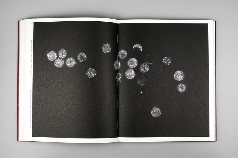 Image from a project on PhMuseum