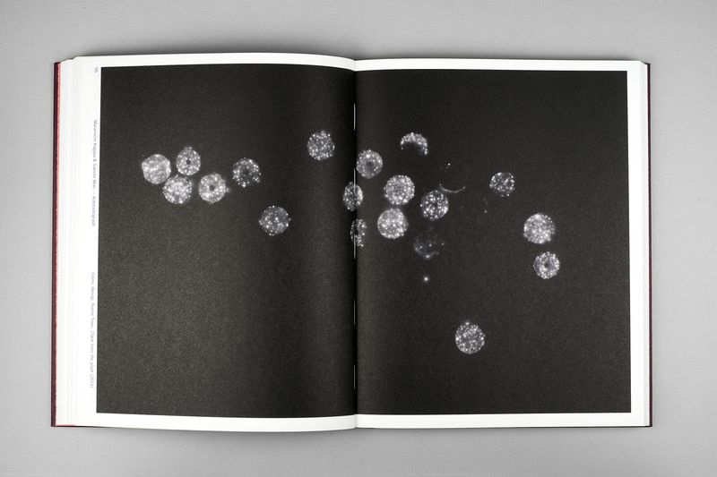 Image from a project on PhMuseum