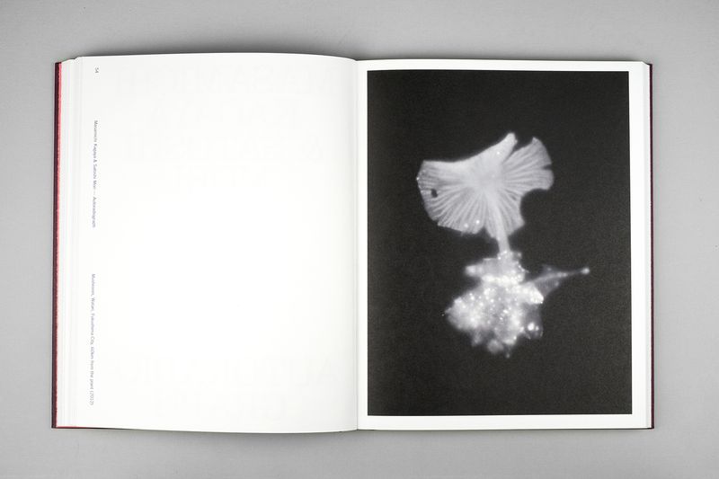 Image from a project on PhMuseum