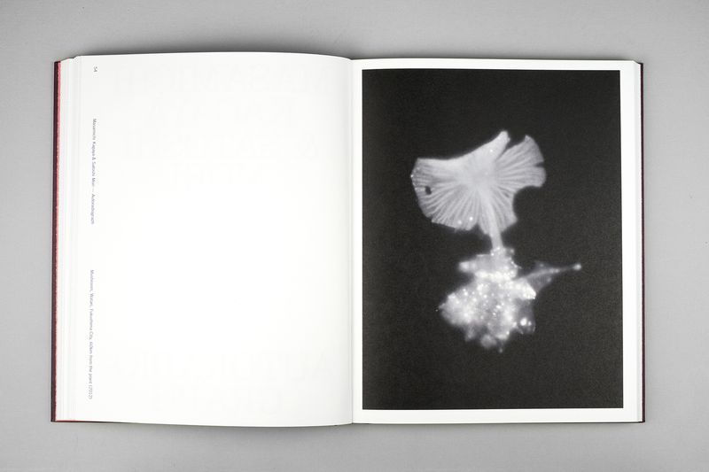 Image from a project on PhMuseum