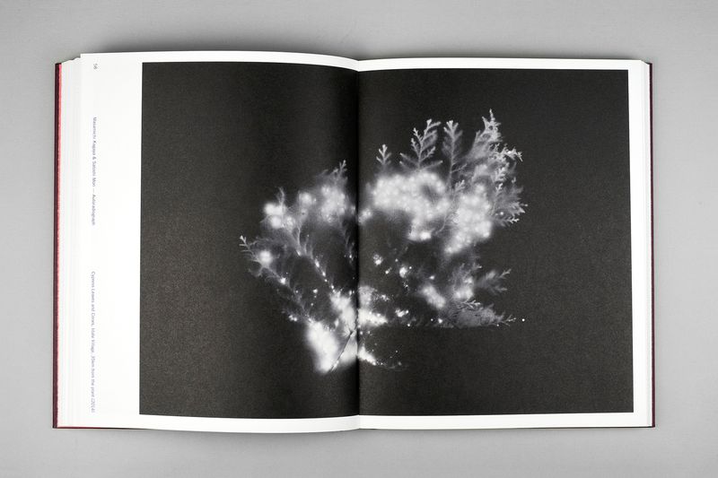 Image from a project on PhMuseum