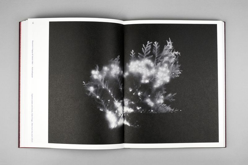 Image from a project on PhMuseum