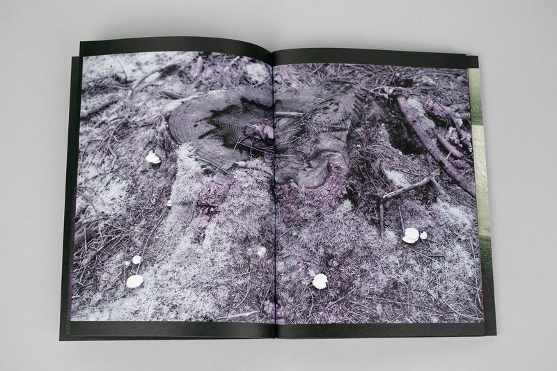 Image from a project on PhMuseum