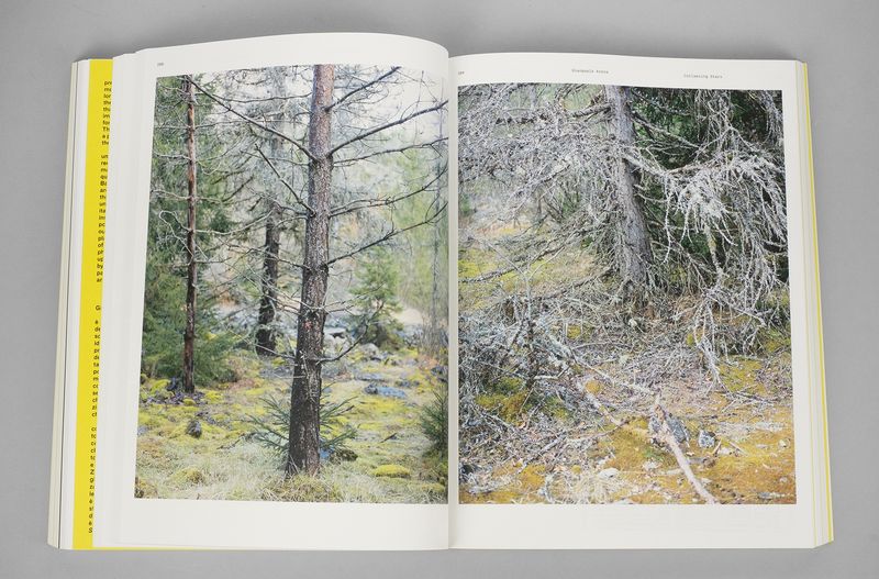 Image from a project on PhMuseum