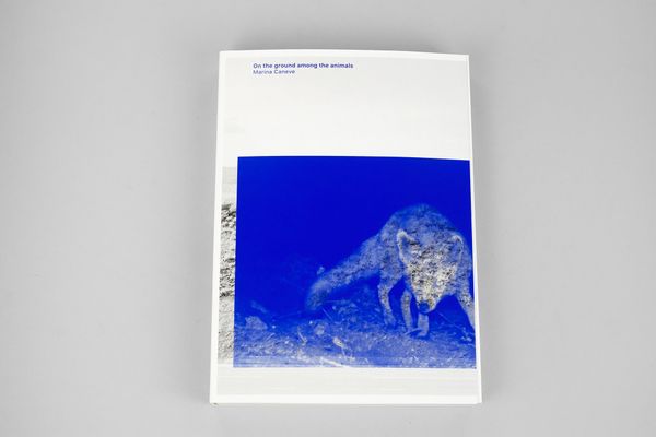 Image from a project on PhMuseum