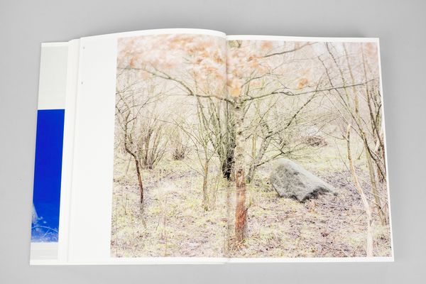 Image from a project on PhMuseum