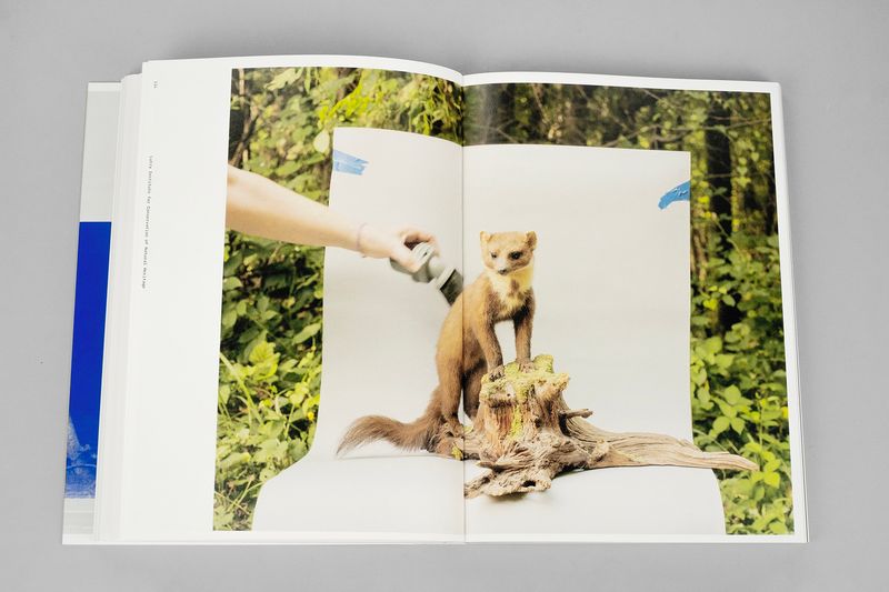 Image from a project on PhMuseum