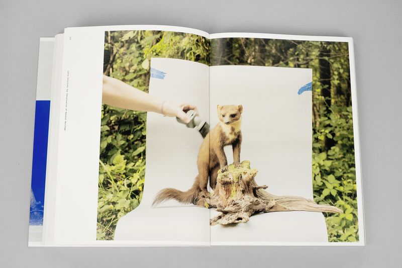 Image from a project on PhMuseum