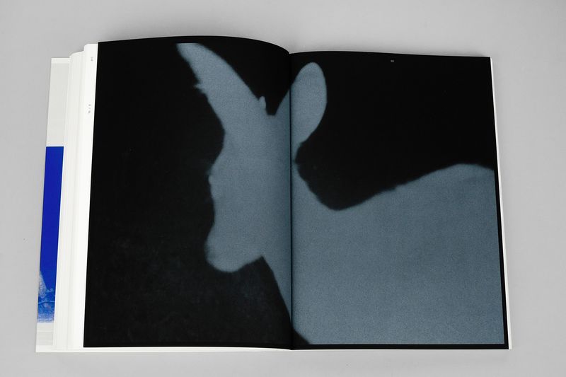 Image from a project on PhMuseum