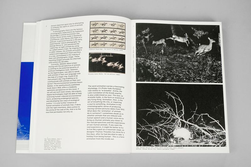 Image from a project on PhMuseum