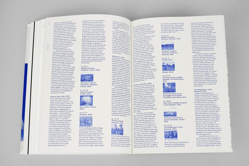 Image from a project on PhMuseum