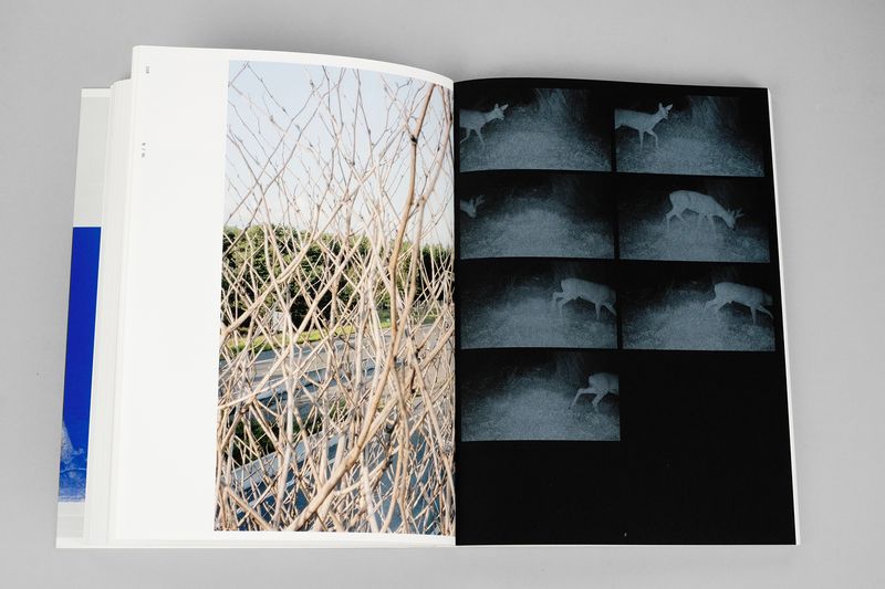 Image from a project on PhMuseum