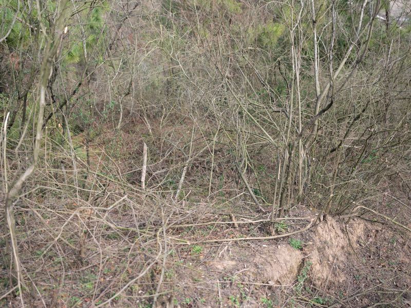 © Shina Peng - The base of the Japanese military station in Linxiang on the same mountain as our ancestral burial grounds.