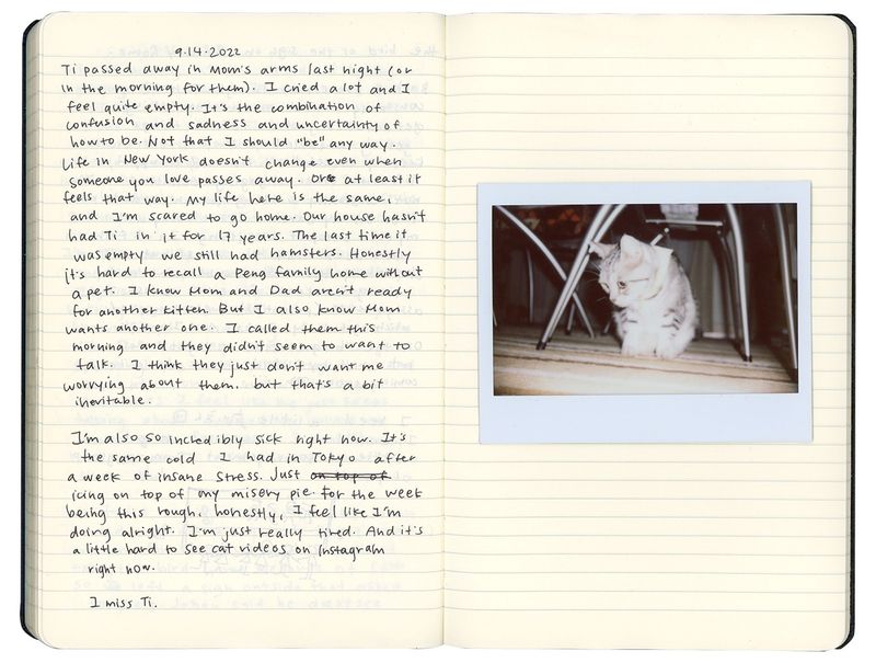 © Shina Peng - Image from the See You In 6 Months photography project