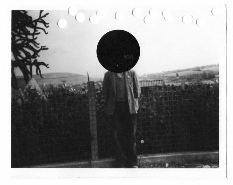 © Debbie Castro - The Monkey Tree