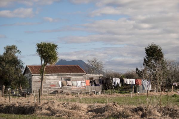 © Sara Orme - Mt Putauaki looms in the distant background in Te Teko, the spiritual mountain of our people, the Ngati Awa.
