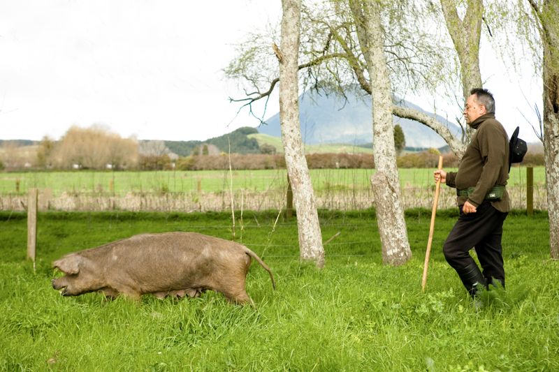 © Sara Orme - Image from the Te Teko photography project