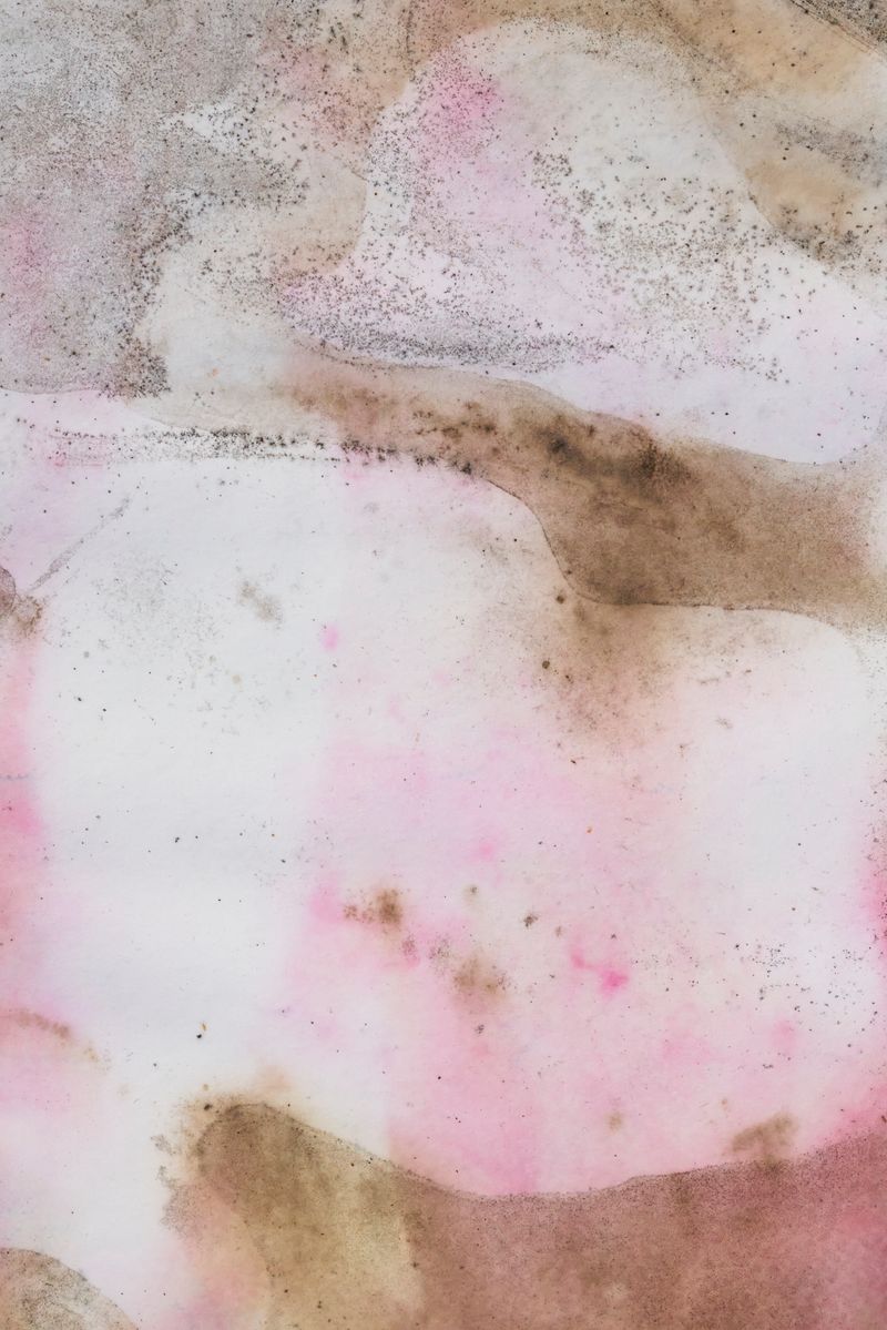 © Javier Talavera - Image from the Almudena photography project