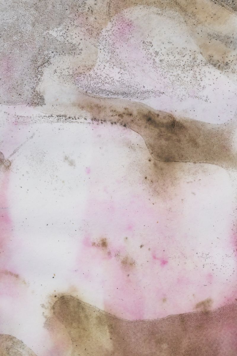 © Javier Talavera - Image from the Almudena photography project