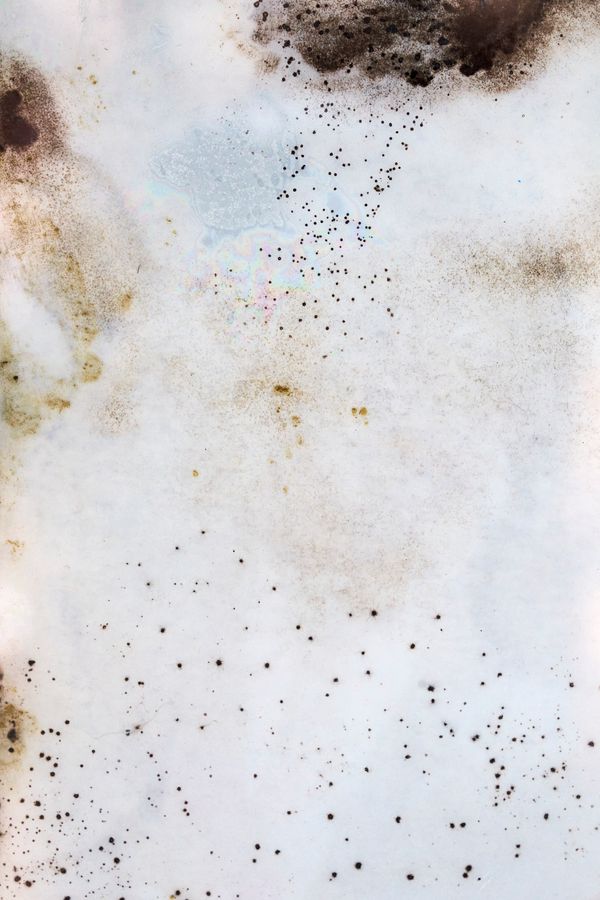 © Javier Talavera - Image from the Almudena photography project