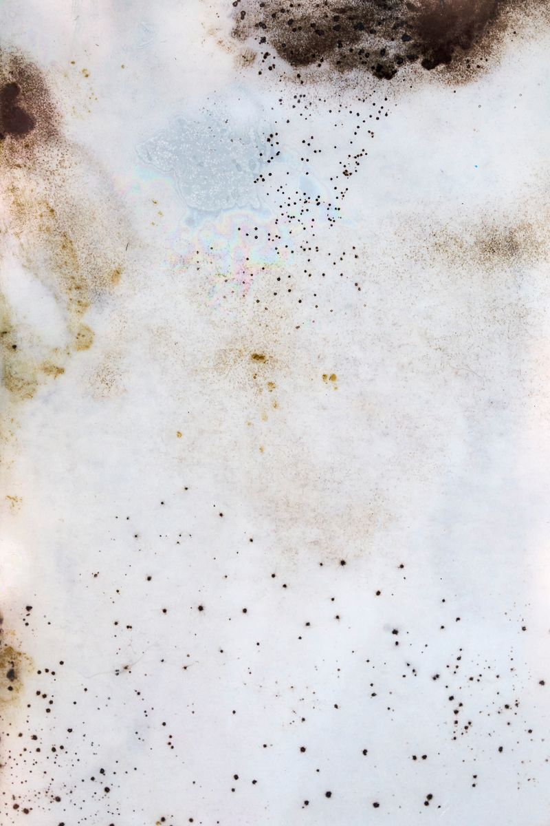 © Javier Talavera - Image from the Almudena photography project