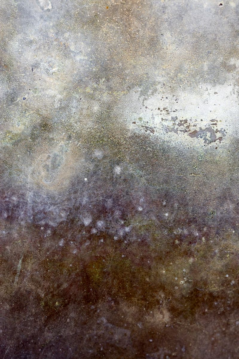 © Javier Talavera - Image from the Almudena photography project