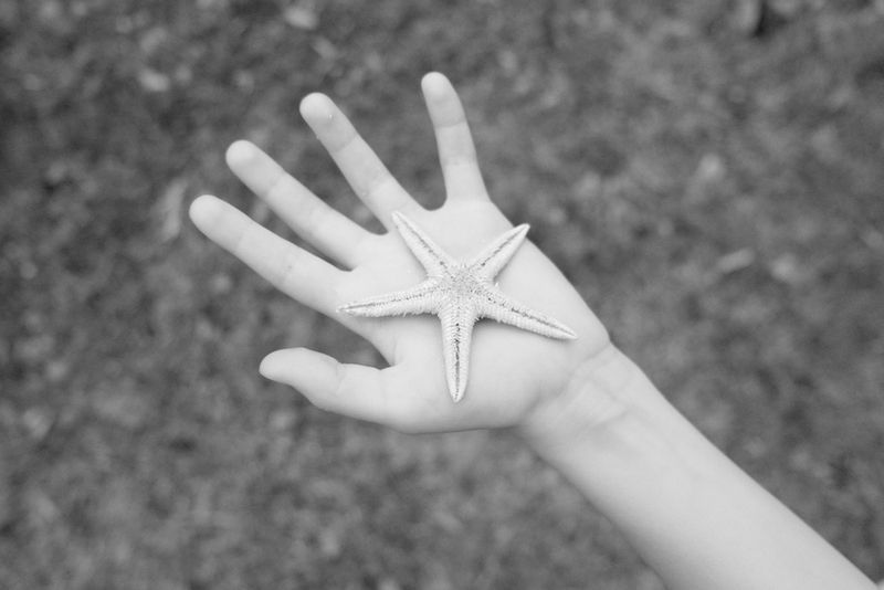 © Edda Pagani - Kids game