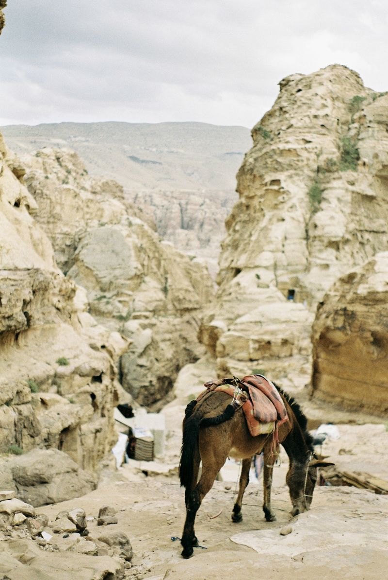 © Edda Pagani - Image from the Habibi photography project