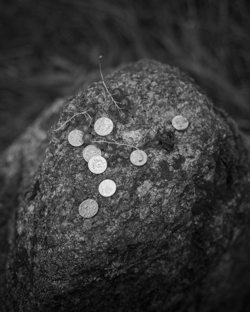 © Anna Twardowska - Image from the Tribus photography project