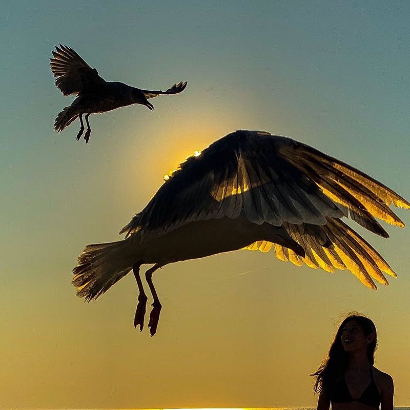 © vanja dimitrova - Image from the You Can't Photograph The Past photography project