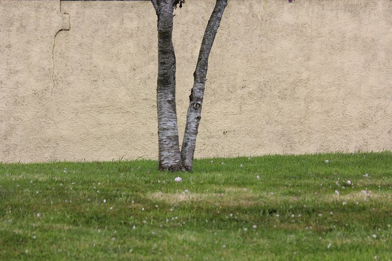 © vanja dimitrova - Image from the Swimmers / Drowners / Dreamers photography project