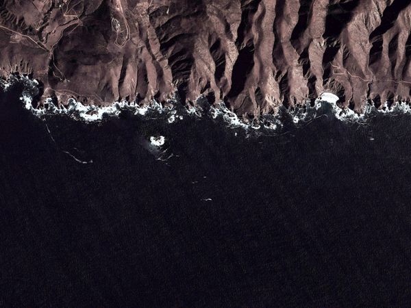 © Gustavo Balbela - Image from the The Log from the Sea of Cortez (Revisited) photography project