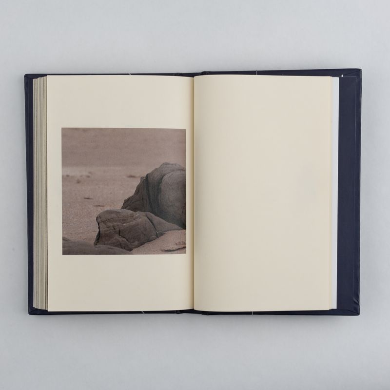 © Gustavo Balbela - Image from the The Log from the Sea of Cortez (Revisited) photography project